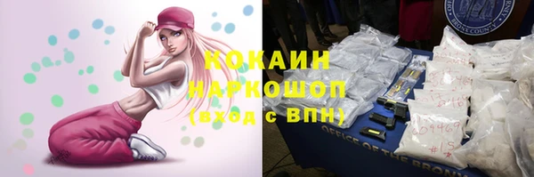 сатива Вяземский