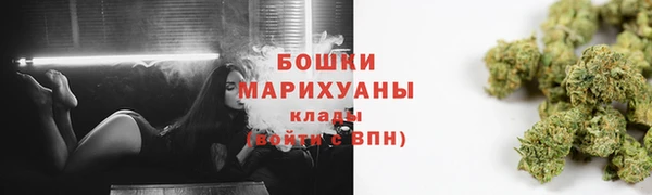 сатива Вяземский