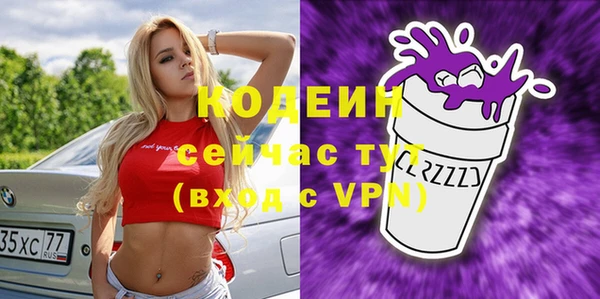 индика Снежногорск