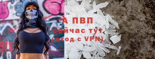 сатива Вяземский