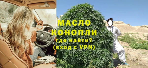 сатива Вяземский