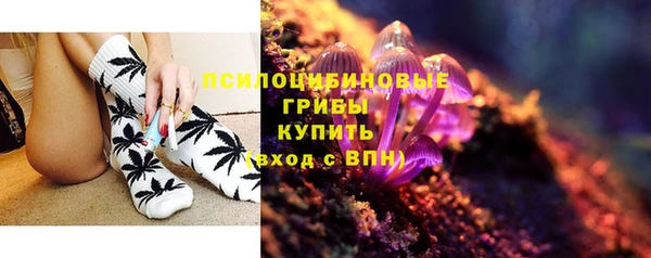 СК Вязники