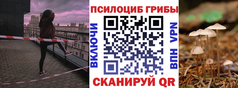 Псилоцибиновые грибы мухоморы  гидра как зайти  Дальнереченск 